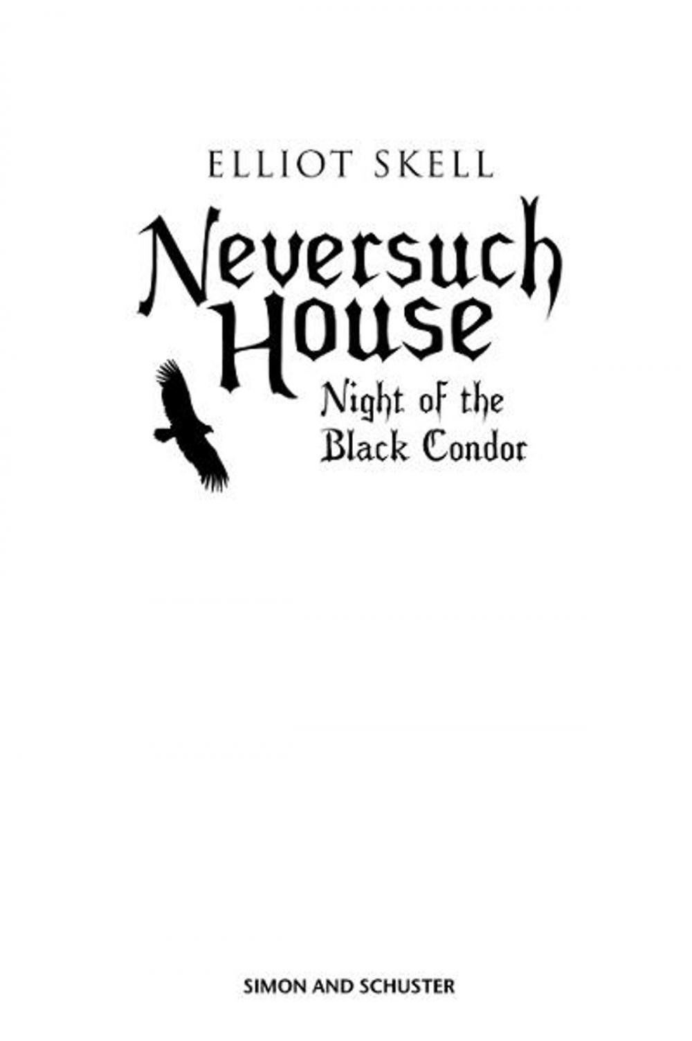 Big bigCover of Neversuch House