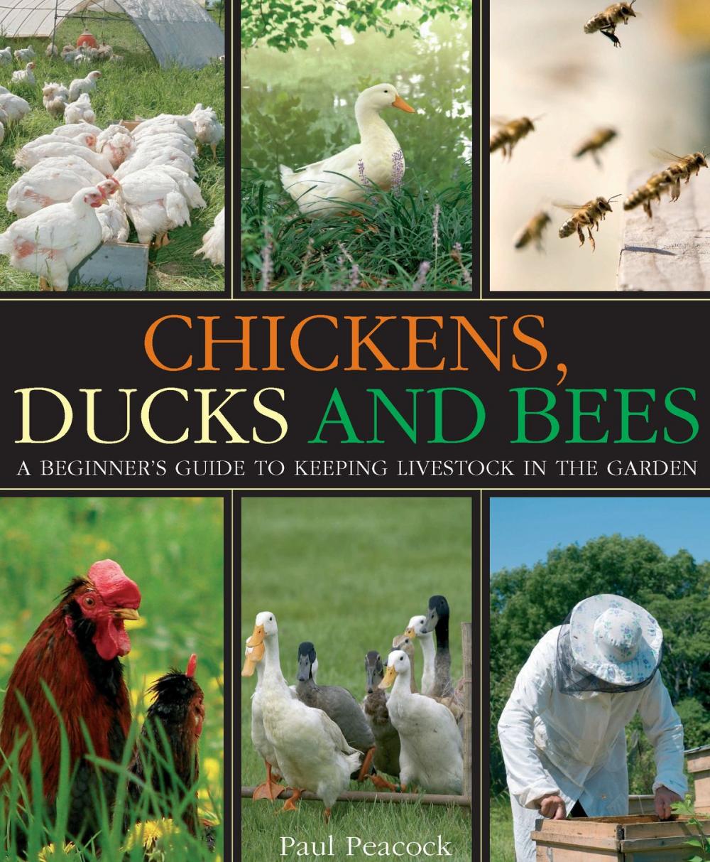 Big bigCover of Chickens, Ducks and Bees