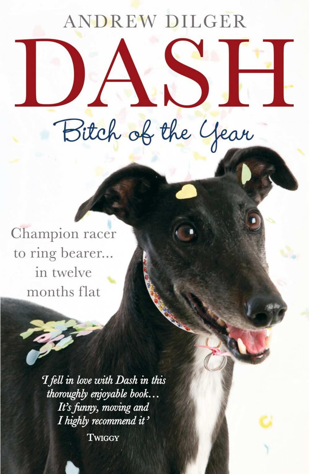 Big bigCover of Dash: Bitch of the Year