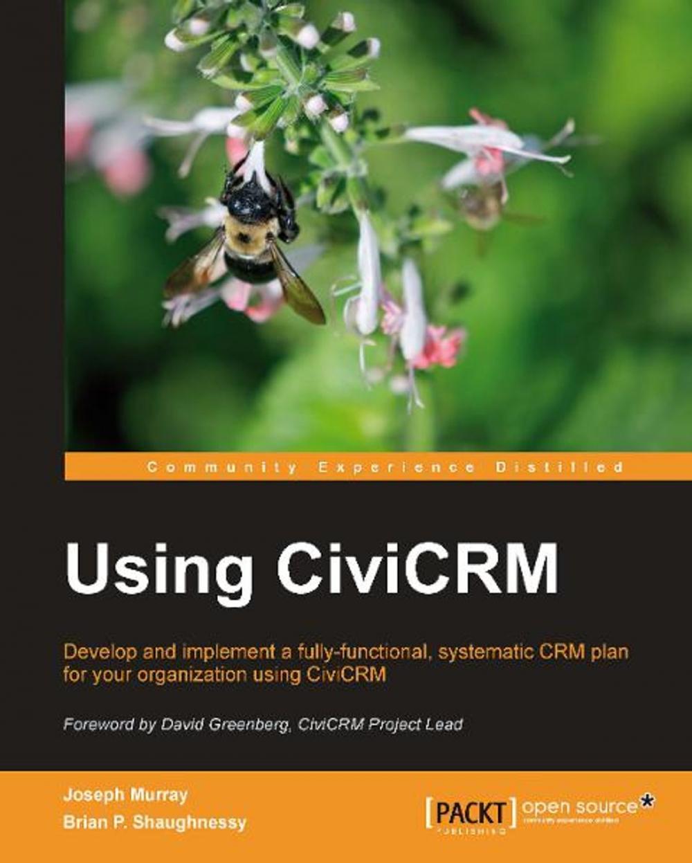 Big bigCover of Using CiviCRM