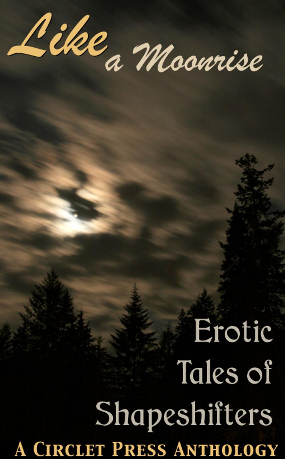 Big bigCover of Like a Moonrise: Erotic Tales of Shapeshifters