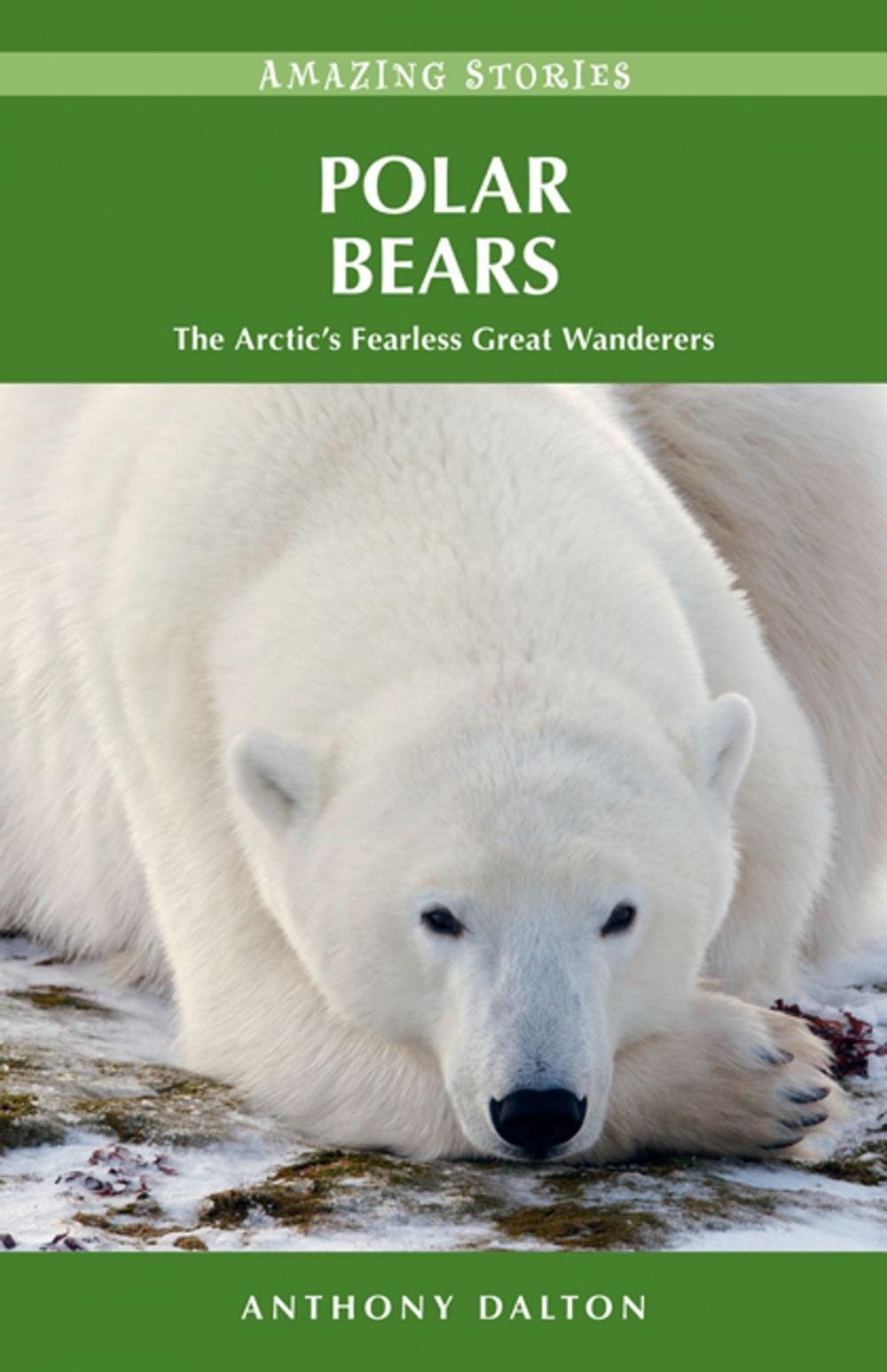 Big bigCover of Polar Bears: The Arctic’s Fearless Great Wanderers