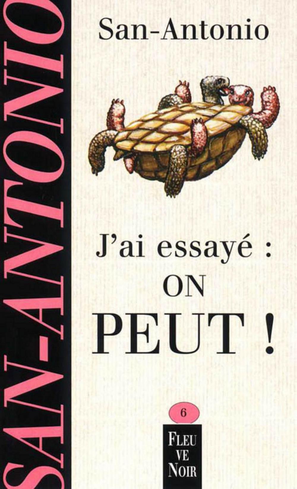 Big bigCover of J'ai essayé, on peut