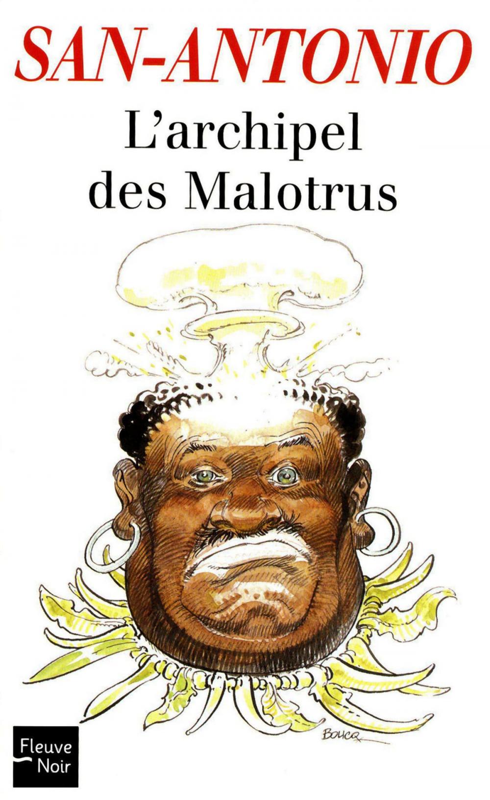 Big bigCover of L'Archipel des Malotrus