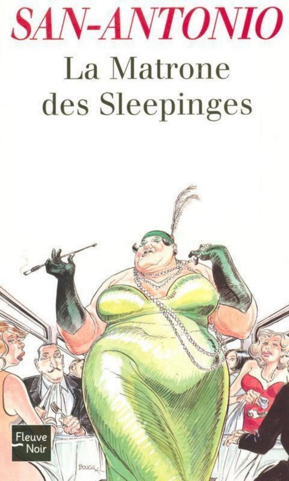 Big bigCover of La Matrone des Sleepinges