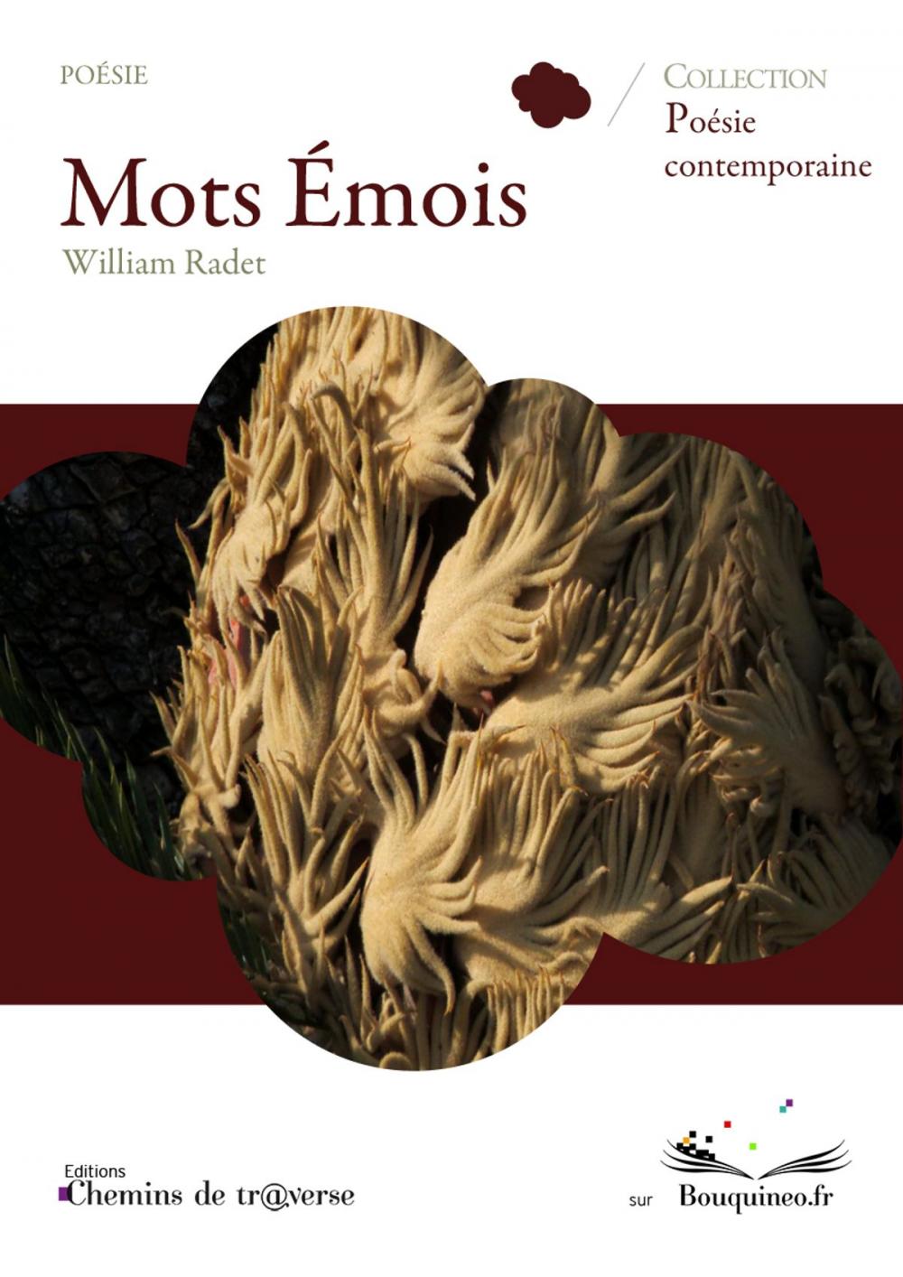 Big bigCover of Mots Émois