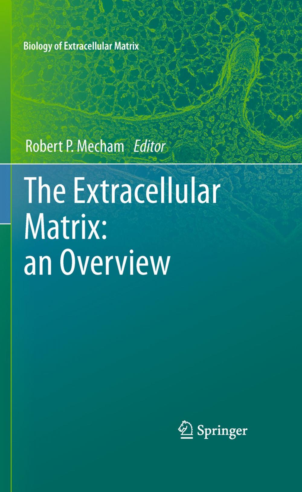 Big bigCover of The Extracellular Matrix: an Overview