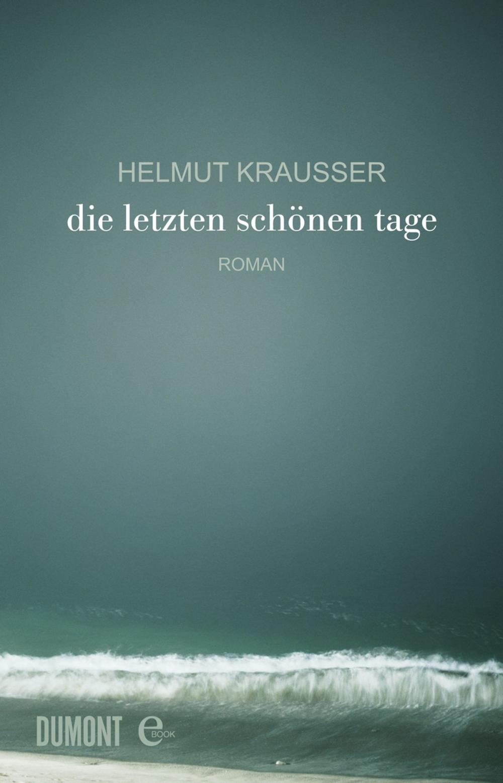 Big bigCover of Die letzten schönen Tage