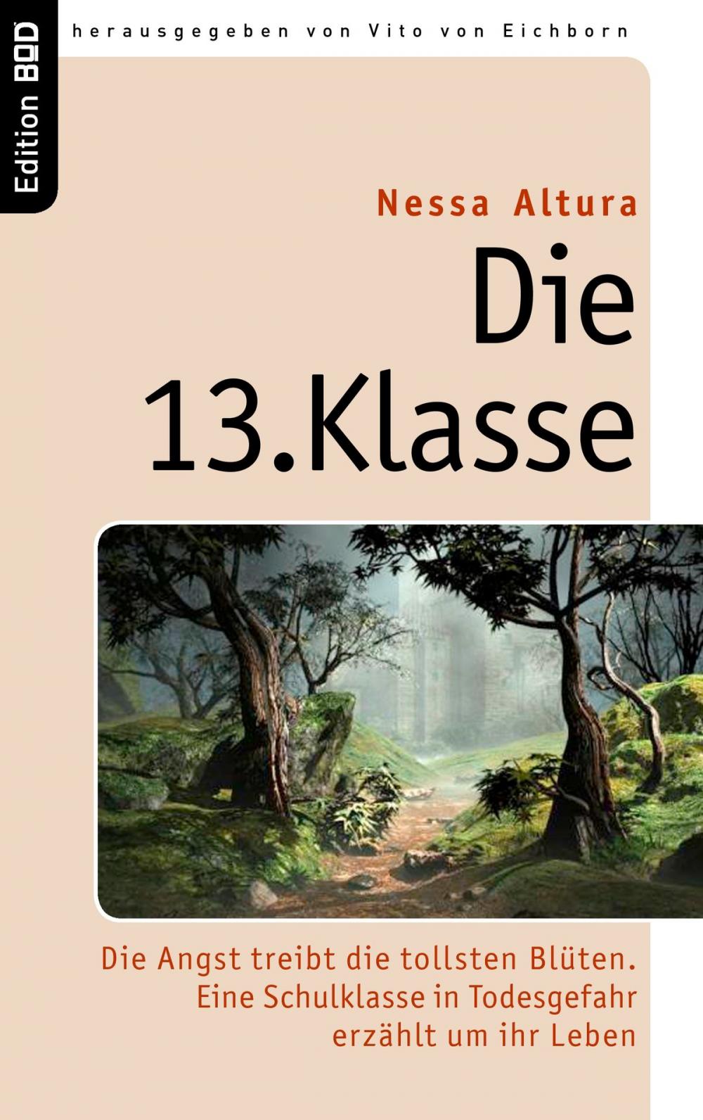 Big bigCover of Die 13. Klasse