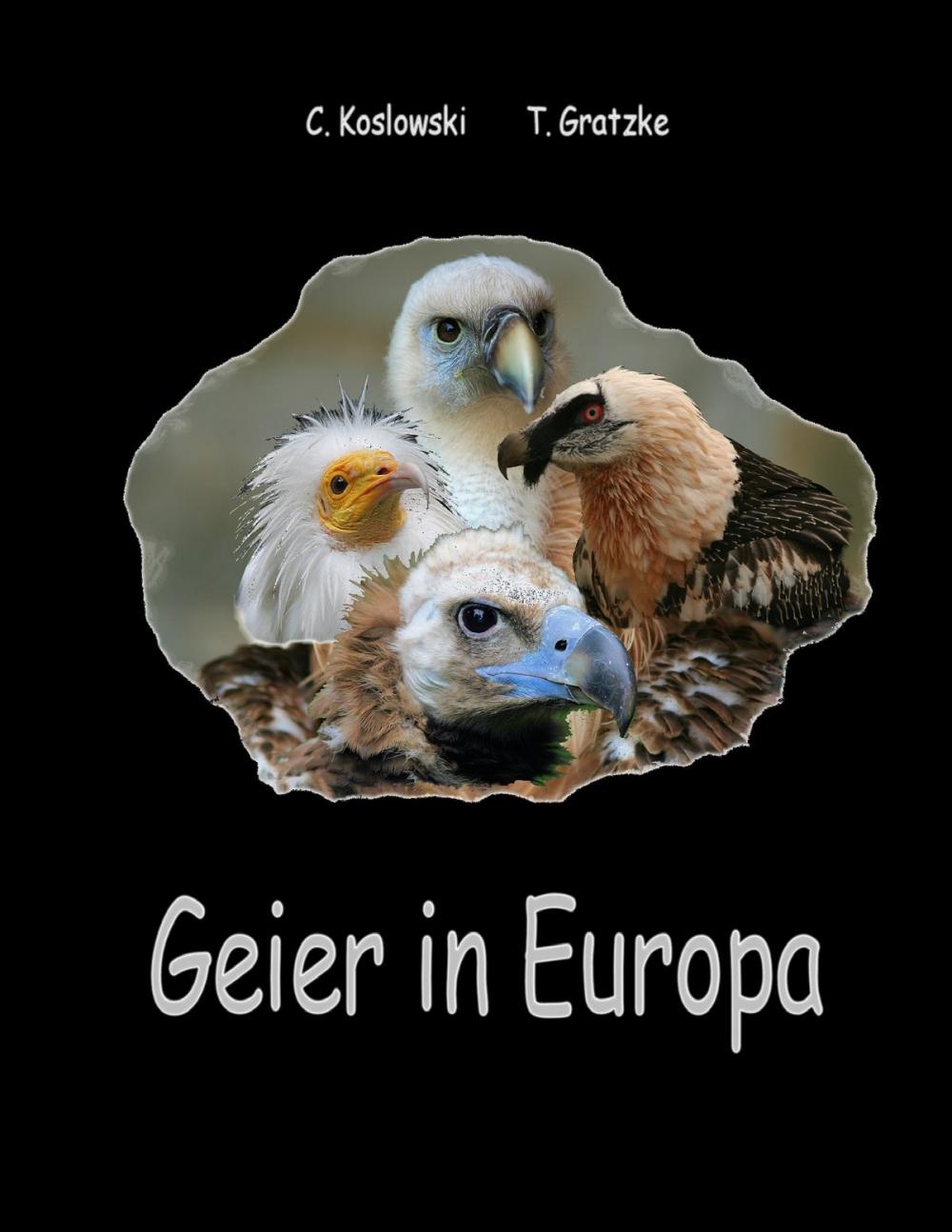 Big bigCover of Geier in Europa