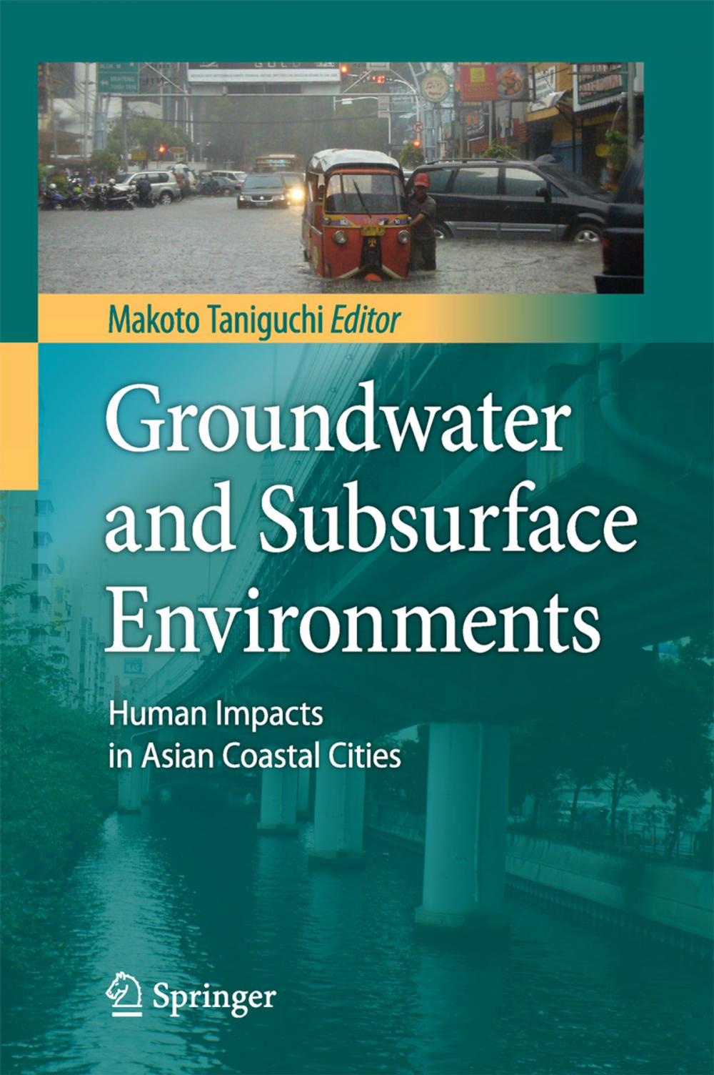 Big bigCover of Groundwater and Subsurface Environments