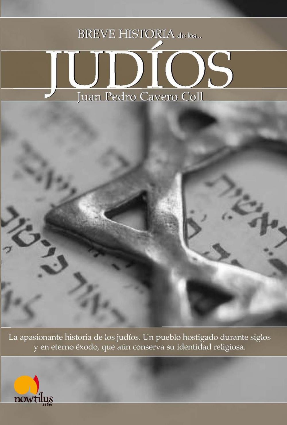 Big bigCover of Breve historia de los judíos