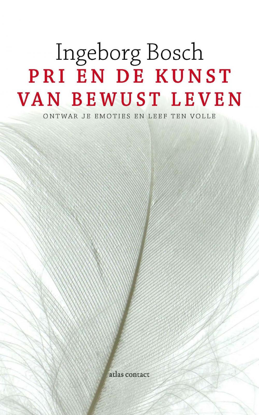 Big bigCover of PRI en de kunst van bewust leven