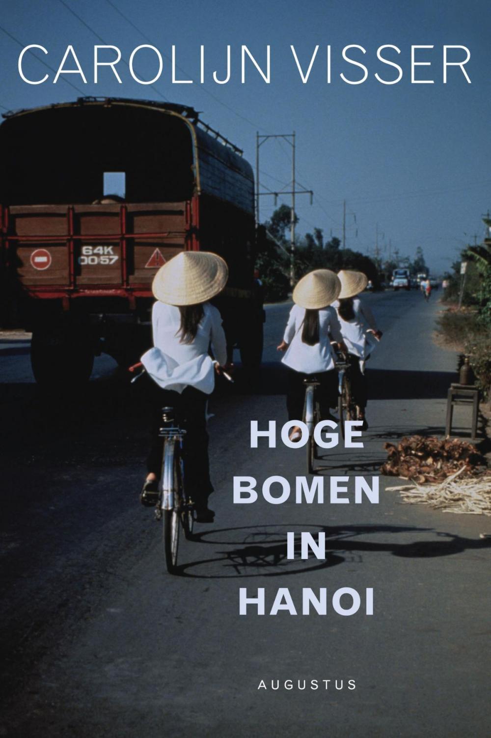 Big bigCover of Hoge bomen in Hanoi