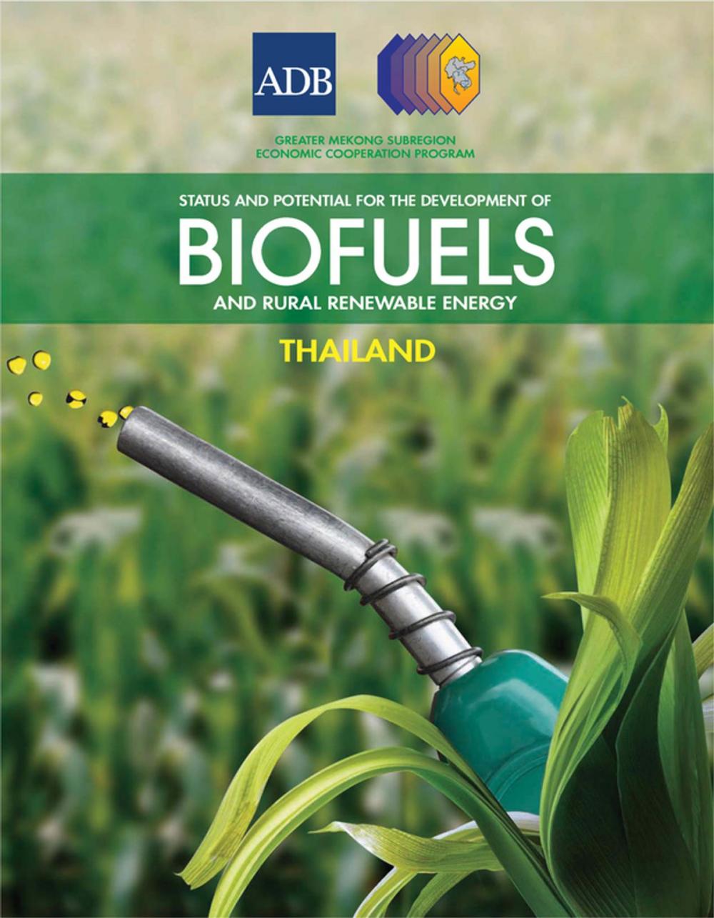 Big bigCover of Status and Potential for the Development of Biofuels and Rural Renewable Energy