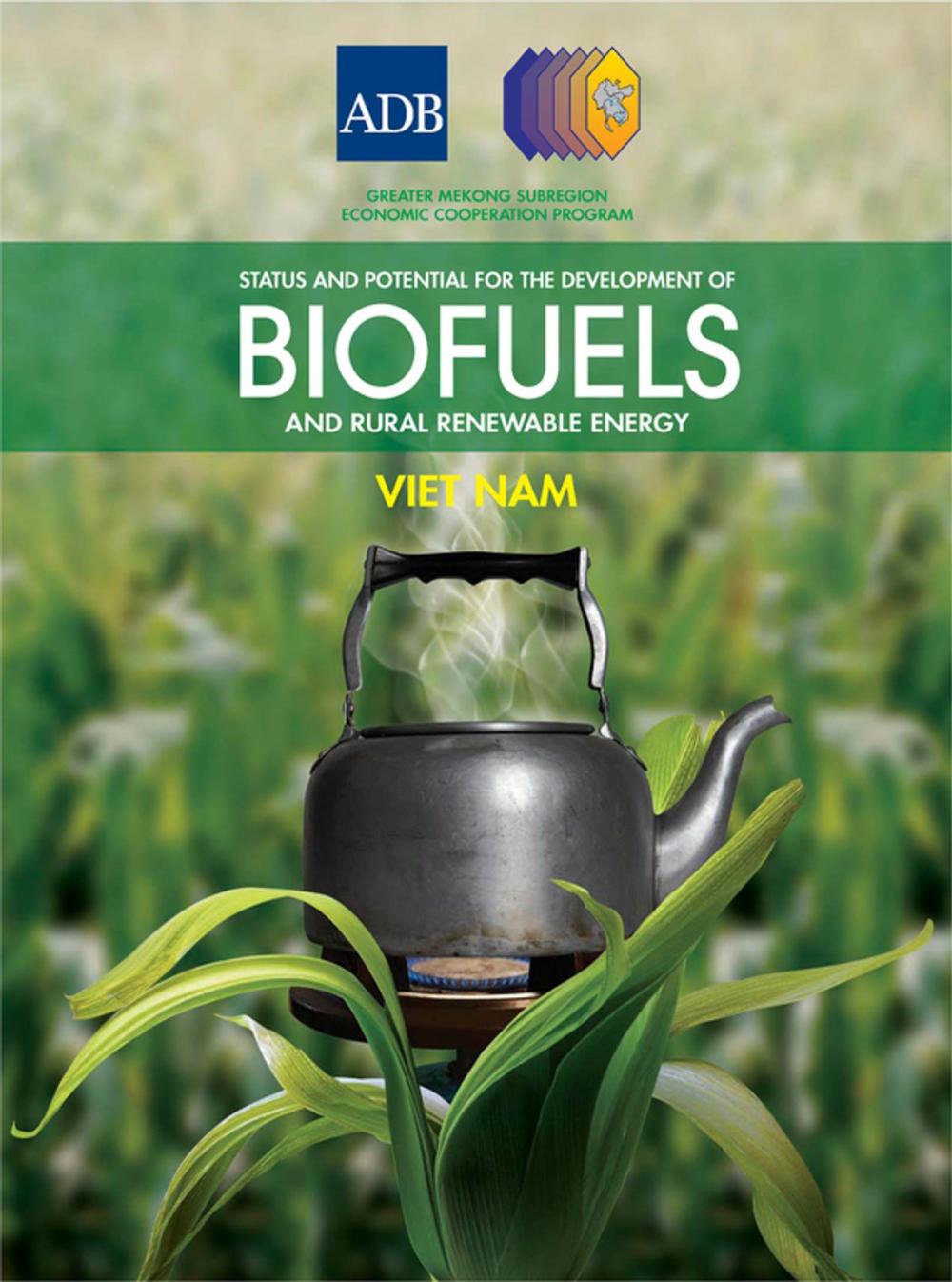 Big bigCover of Status and Potential for the Development of Biofuels and Rural Renewable Energy