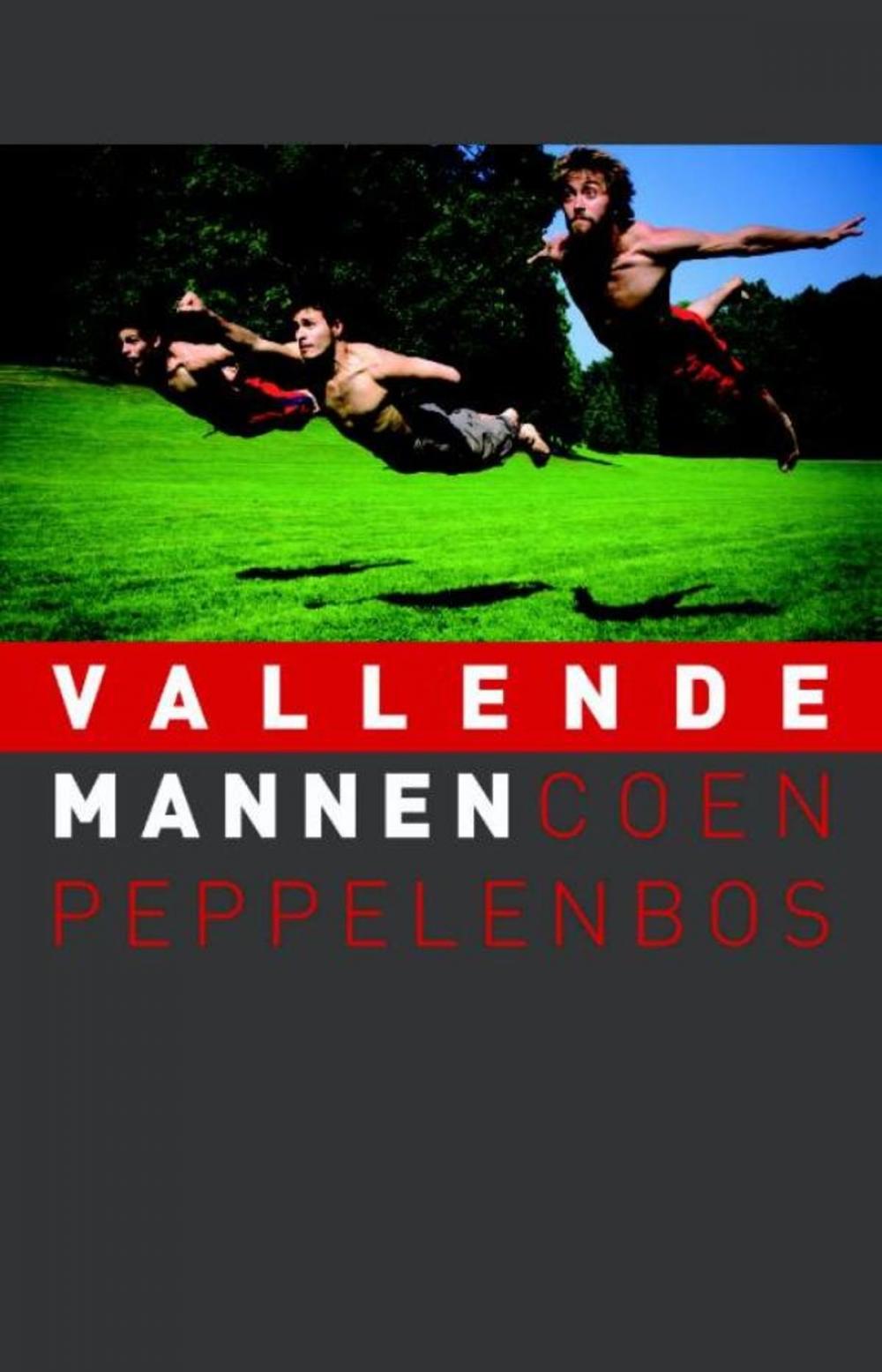 Big bigCover of Vallende mannen