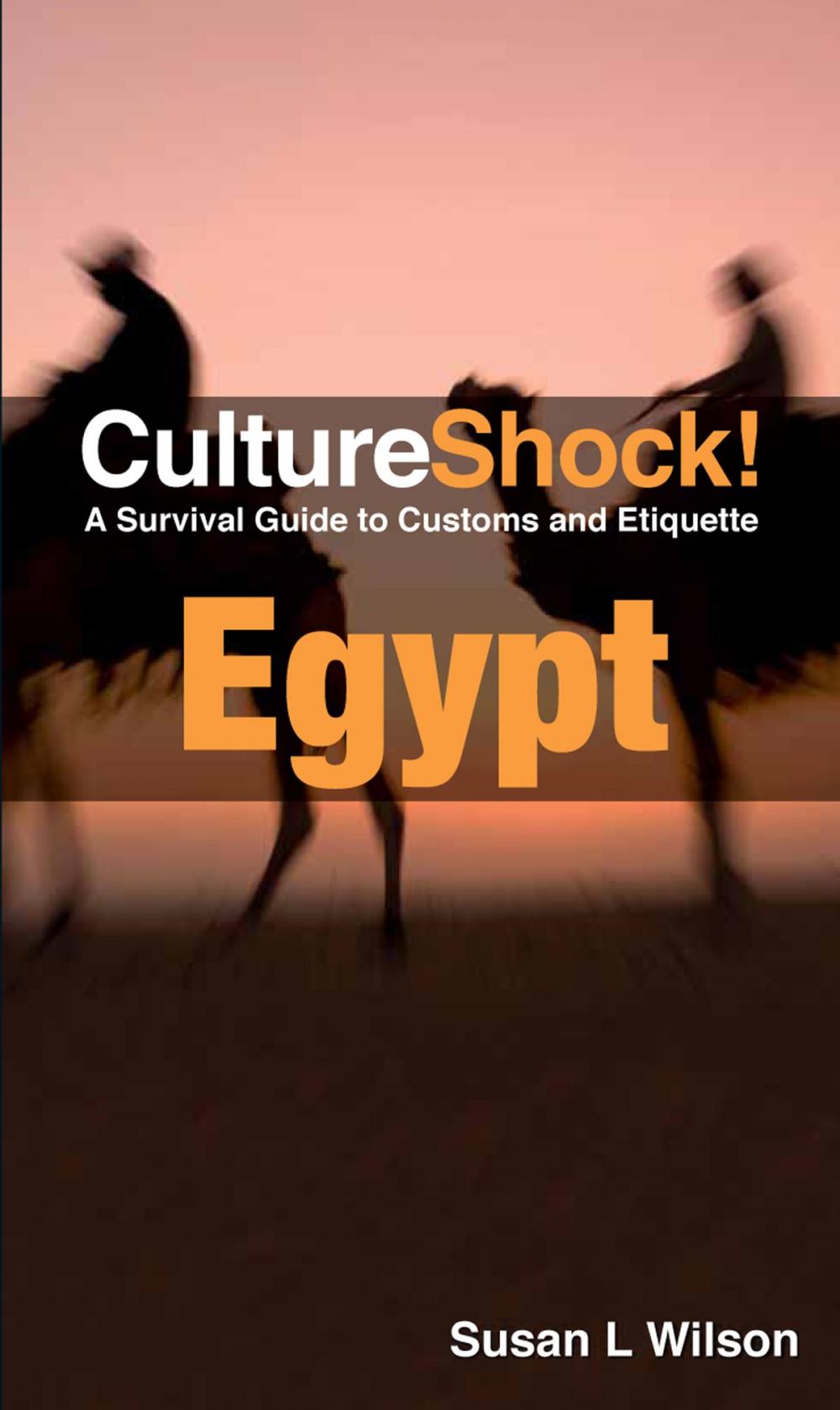 Big bigCover of CultureShock! Egypt