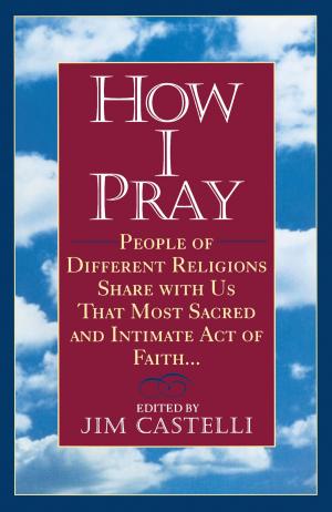 Cover of the book How I Pray by Sandra Vander Schaaf