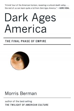 Cover of the book Dark Ages America: The Final Phase of Empire by Stephen Jay Gould