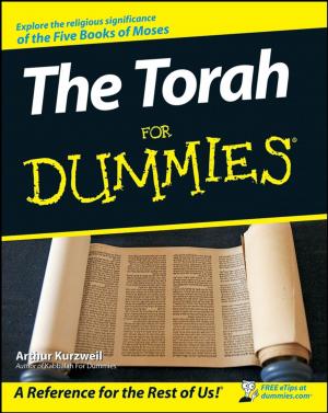 Cover of the book The Torah For Dummies by Priscilla Meli, Elaine Marmel