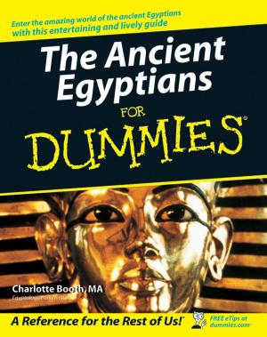 Cover of the book The Ancient Egyptians For Dummies by Dan Stefanoiu, Pierre Borne, Dumitru Popescu, Florin Gheorghe Filip, Abdelkader El Kamel