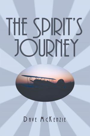 Book cover of The Spirit's Journey