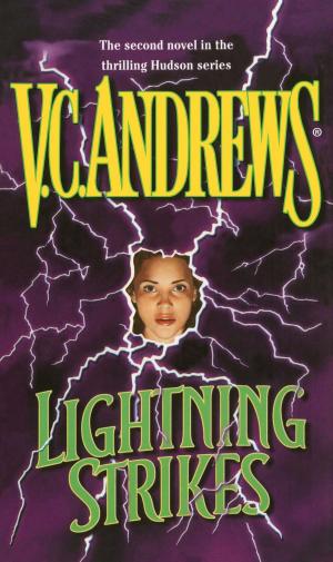 Cover of the book Lightning Strikes by Jude Deveraux