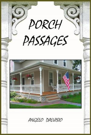 Cover of Porch Passages