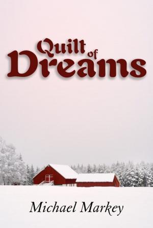 Cover of the book Quilt of Dreams by Irfan Alli