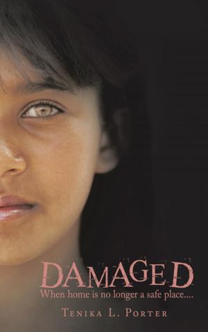 Cover of the book Damaged by Paul Shapshak