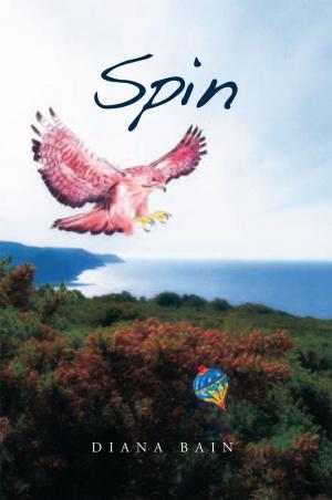 Cover of the book Spin by Mlandu Sikwebu