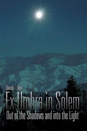 Cover of the book Ex Umbra in Solem by Barbra Morris