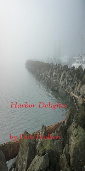Cover of the book Harbor Delights by Anthony McGowan