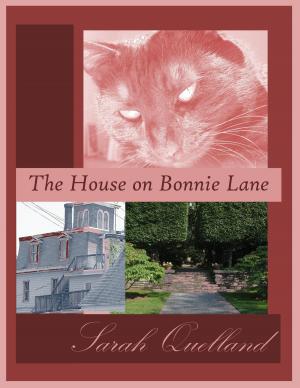 Cover of The House on Bonnie Lane