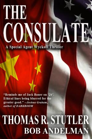 Cover of the book The Consulate by Janet Sketchley