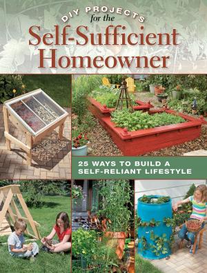 Cover of the book DIY Projects for the Self-Sufficient Homeowner: 25 Ways to Build a Self-Reliant Lifestyle by Linda Kaye-Moses