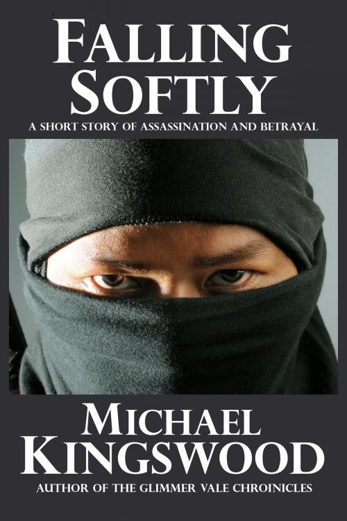 Cover of the book Falling Softly by Michael Kingswood, SSN Storytelling