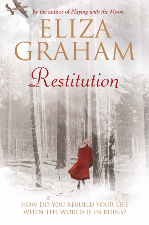 Cover of the book Restitution by Eliza Graham, Pan Macmillan