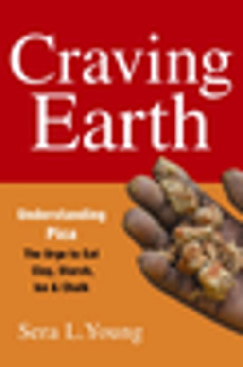 Cover of the book Craving Earth by Sera Young, Columbia University Press
