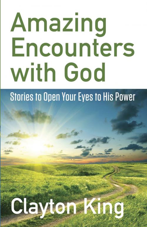 Cover of the book Amazing Encounters with God by Clayton King, Harvest House Publishers