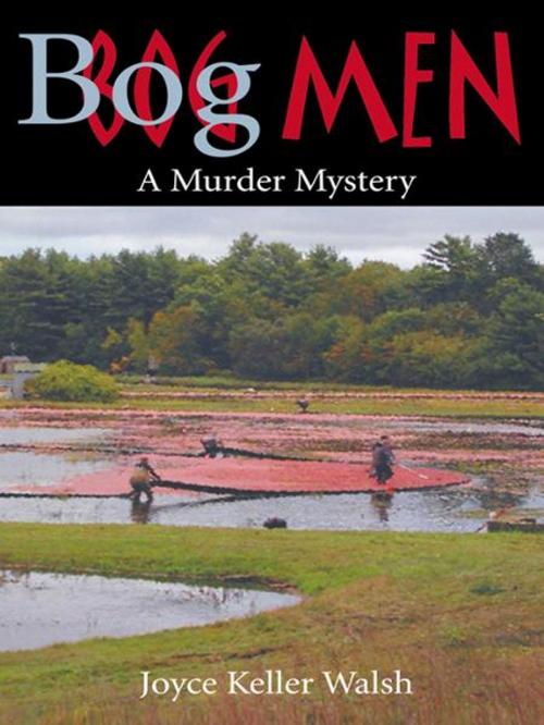 Cover of the book Bog Men by Keller Walsh, Joyce, Infinity Publishing