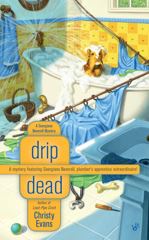 Cover of the book Drip Dead by Christy Evans, Penguin Publishing Group