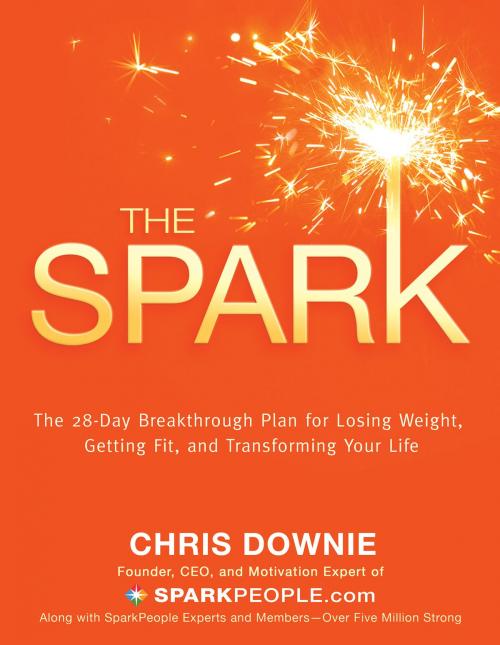 Cover of the book The Spark TRADE by Chris Downie, Hay House