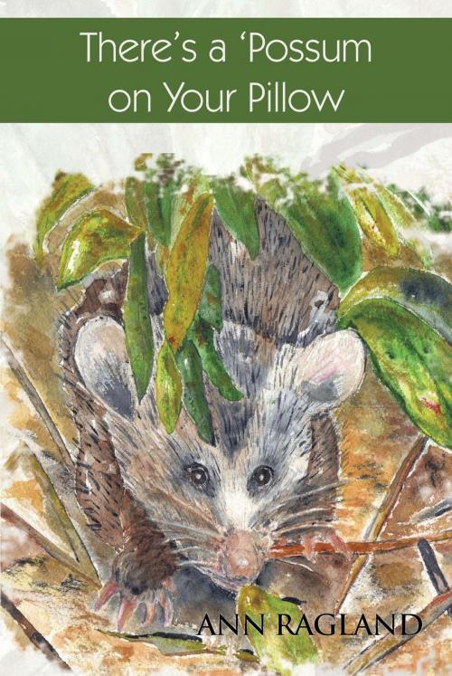 Cover of the book There’S a 'Possum on Your Pillow by Ann Ragland, Trafford Publishing