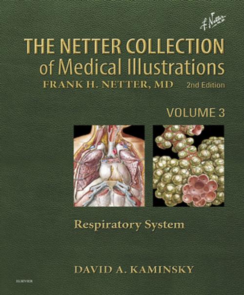 Cover of the book Netter Collection of Medical Illustrations: Respiratory System E-Book by David Kaminsky, MD, Elsevier Health Sciences