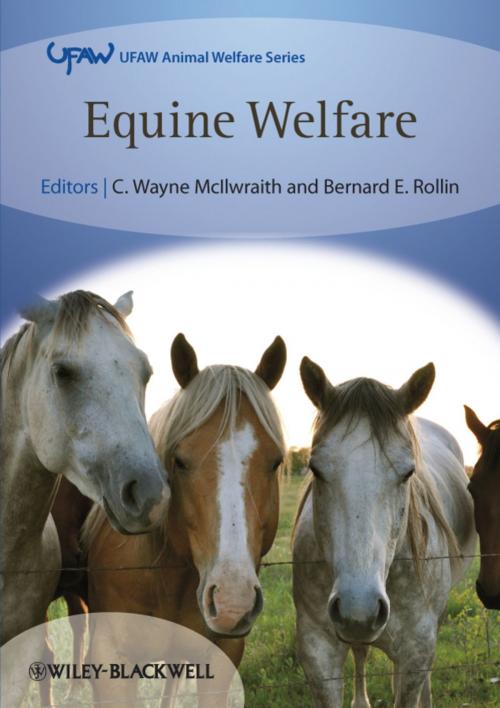 Cover of the book Equine Welfare by , Wiley