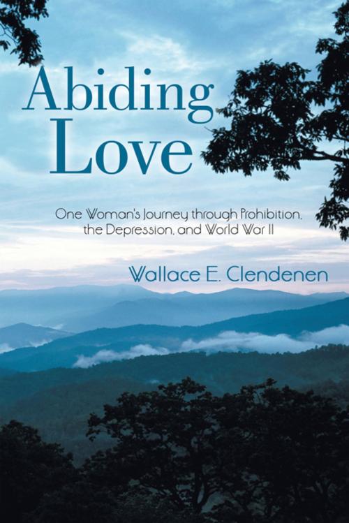 Cover of the book Abiding Love by Wallace E. Clendenen, iUniverse