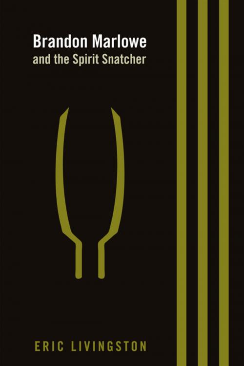 Cover of the book Brandon Marlowe and the Spirit Snatcher by Eric Livingston, iUniverse