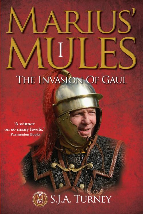 Cover of the book Marius' Mules: The Invasion of Gaul by S.J.A. Turney, S.J.A. Turney